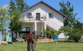 Pensiunea Palaghia